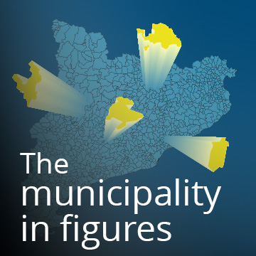 The municipality in figures